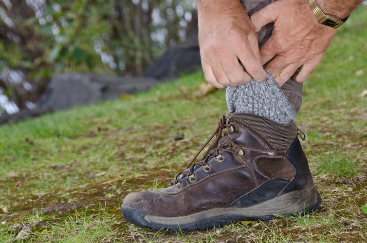 Ticks spread plenty more for you to worry about beyond Lyme disease