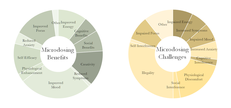 Chart via The Conversation Microdosers Psychedelic Report  