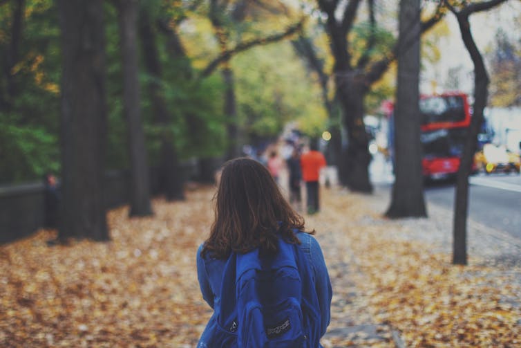 Increasing tree cover may be like a 'superfood' for community mental health