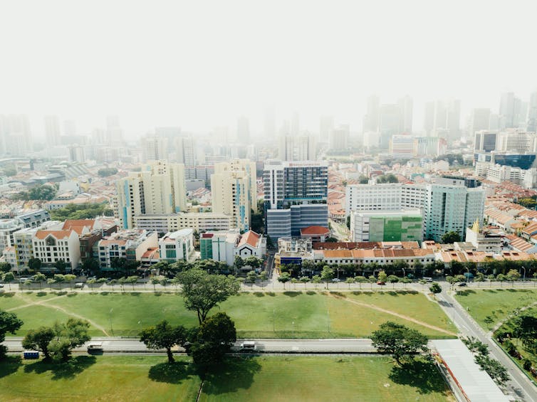 Increasing tree cover may be like a 'superfood' for community mental health