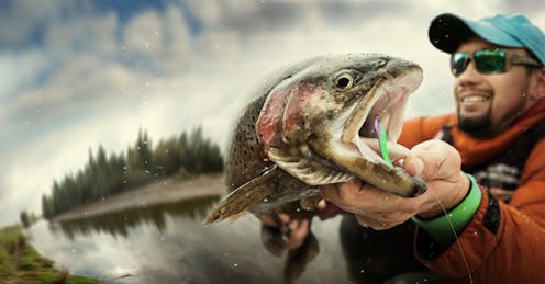 Attrape Moi Si Tu Peux Ou Comment Les Poissons Sont Parfois Plus Futes Que Les Pecheurs Attrape Moi Si Tu Peux Ou Comment Les Poissons Sont Parfois Plus Futes Que Les Pecheurs