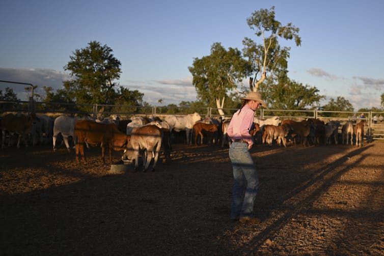 It isn't clear how the new bill against animal rights activists will protect farmers