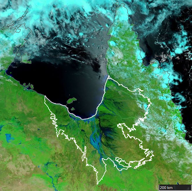 Catastrophic Queensland floods killed 600,000 cattle and devastated native species