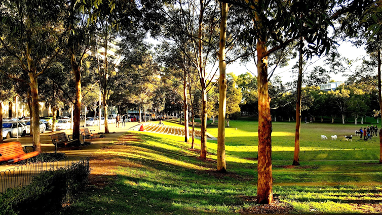 Increasing tree cover may be like a 'superfood' for community mental health