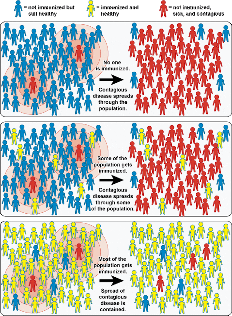 What is herd immunity and how many people need to be vaccinated to protect a community?