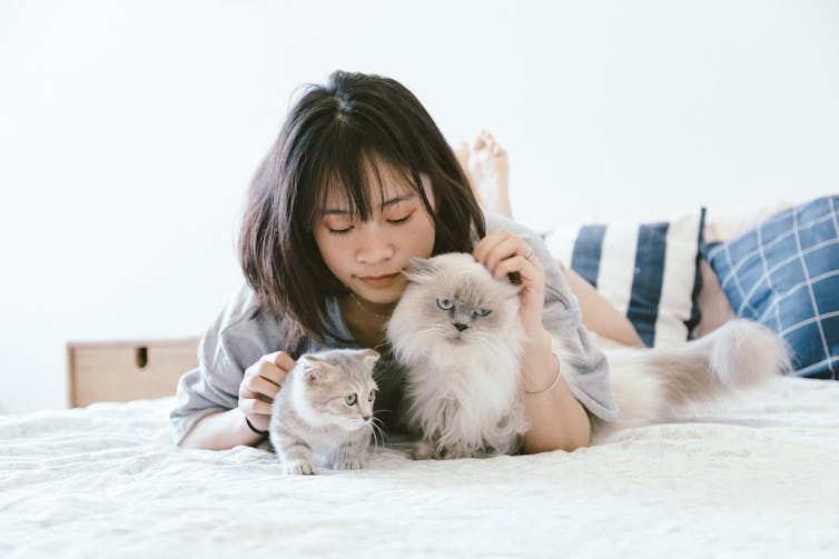Comment Caresser Un Chat Selon La Science Comment Caresser Un Chat Selon La Science