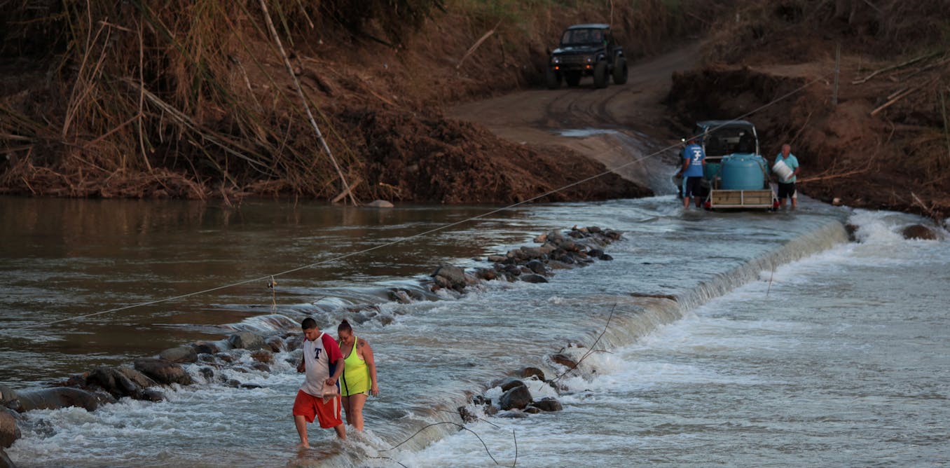 Caribbean fish love catastrophic hurricanes Biology Diagrams