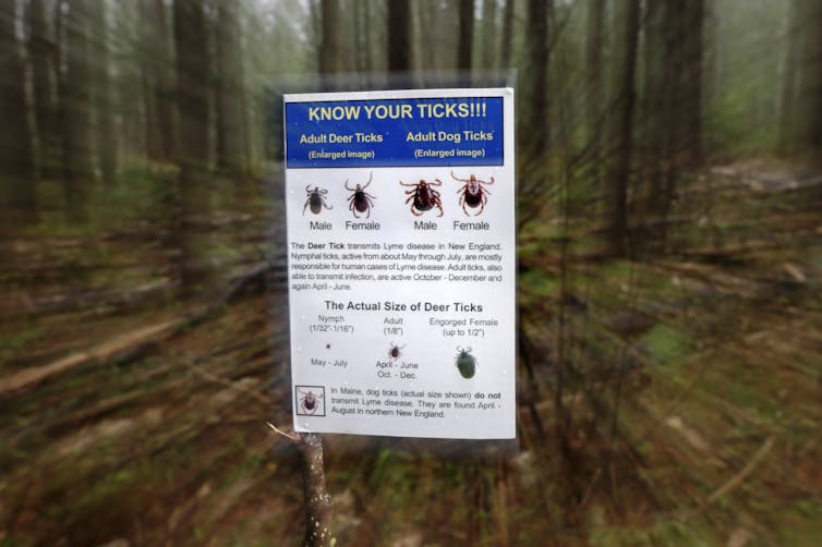 No, Lyme disease is not an escaped military bioweapon, despite what conspiracy theorists say