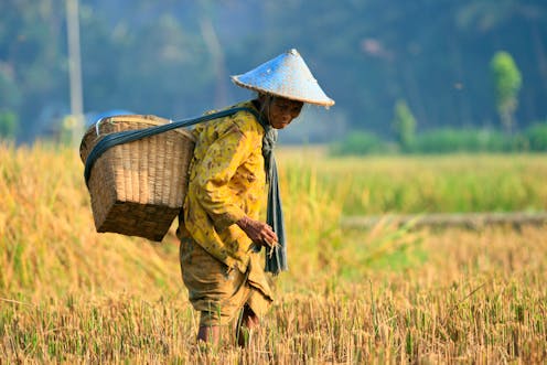 Sejarah perkembangan pertanian di indonesia