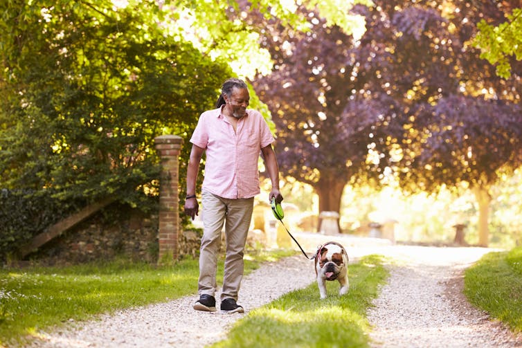 Aging with pets isn't just a sentimental concern, but a matter of ...