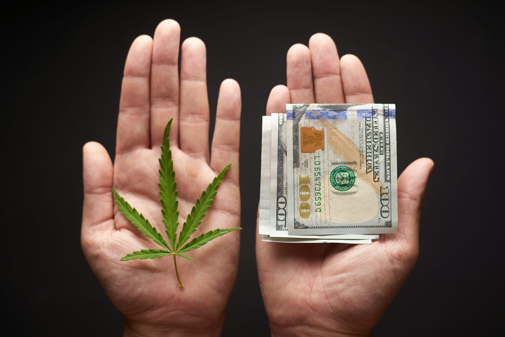 Economics Of Legalising Cannabis – Pricing And Policing Are Crucial