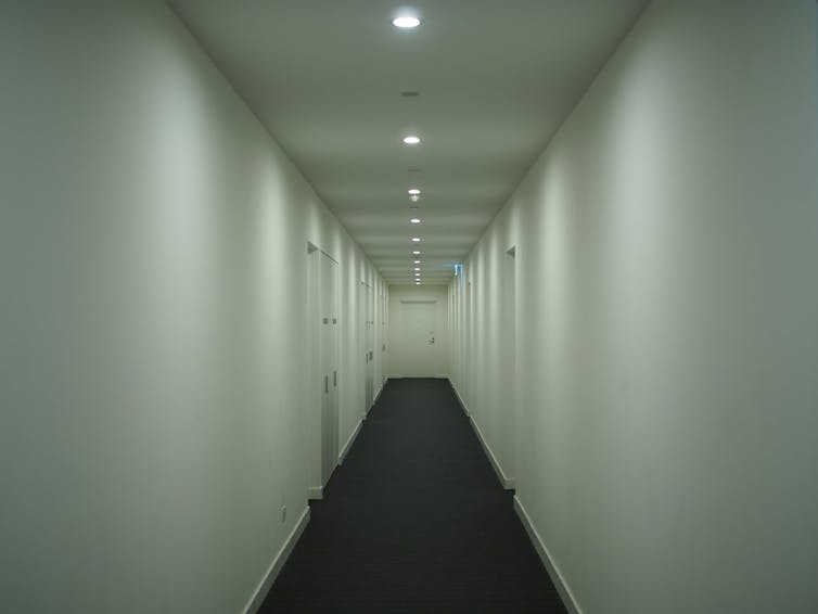 file-20190728-43130-1nyypcn.jpg?ixlib=rb-1.1.0&q=45&auto=format&w=754&fit=clip