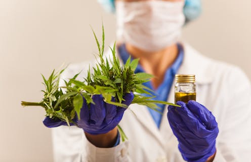 Potential cost to patient safety as NZ debates access to medicinal cannabis