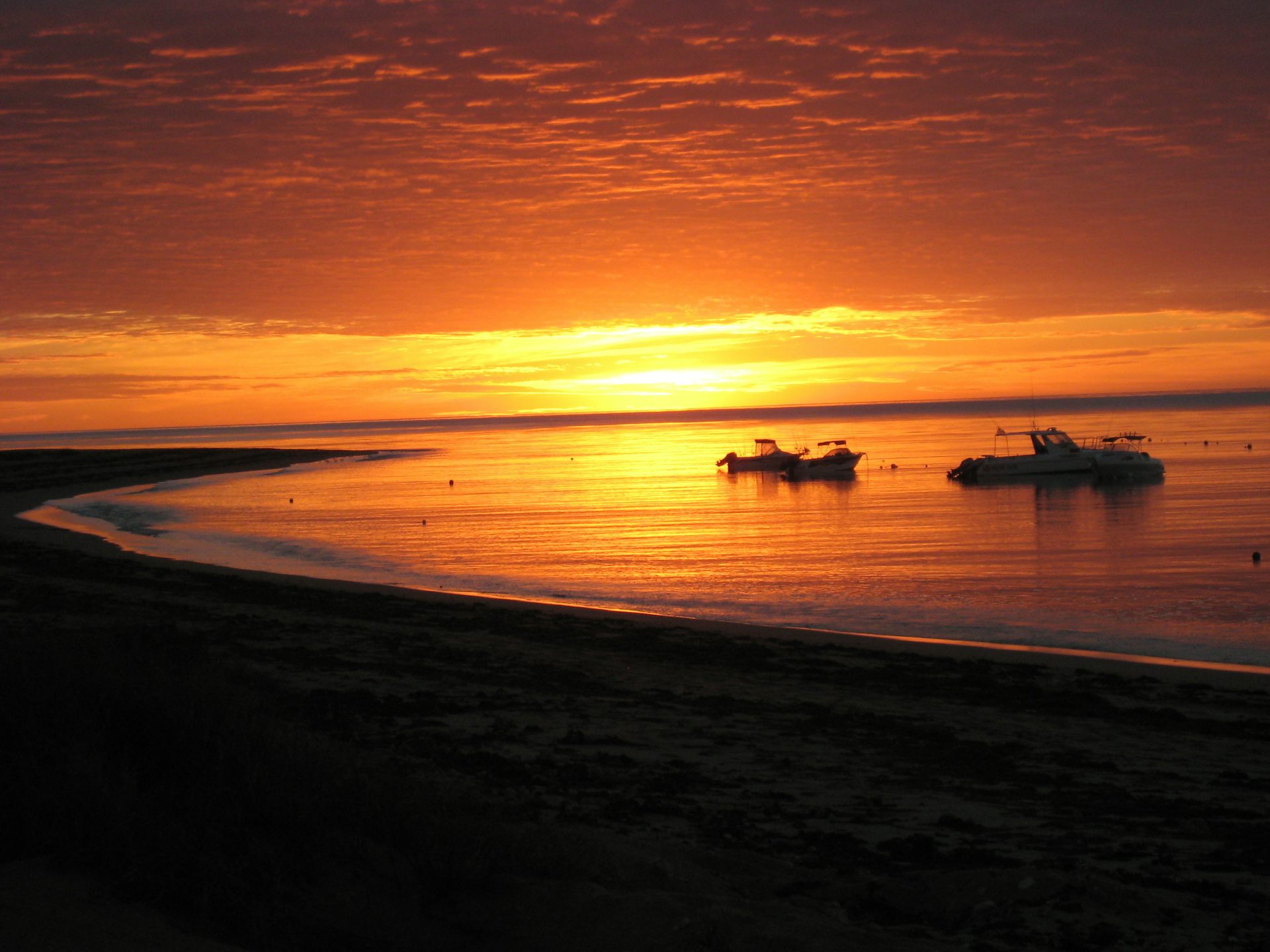 Election 2013 Issues Australia and the world