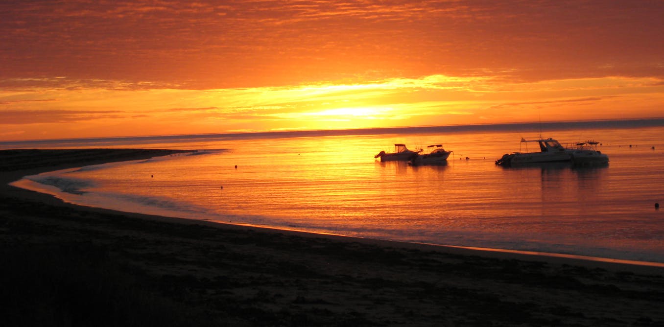 Election 2013 Issues Australia and the world