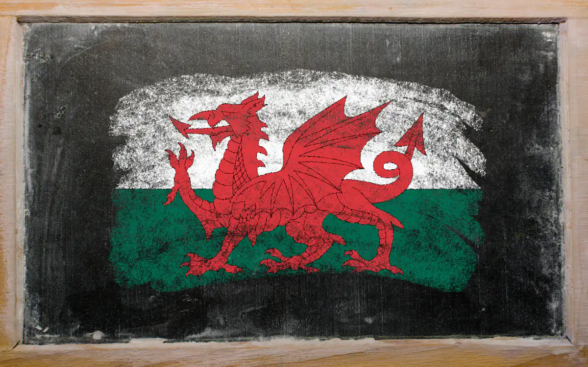 Welsh Language Setting Wales wants to make the Welsh language part of every lesson under new ...
