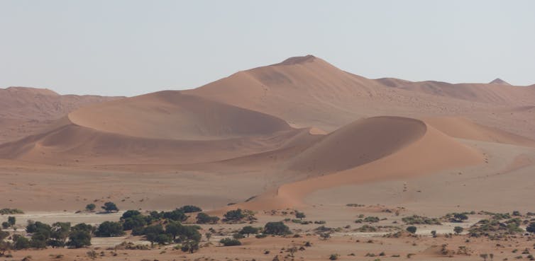 dry desert Namibia. Temporary streams in dry parts of Namibia provide rare but vital groundwater recharge for local people.