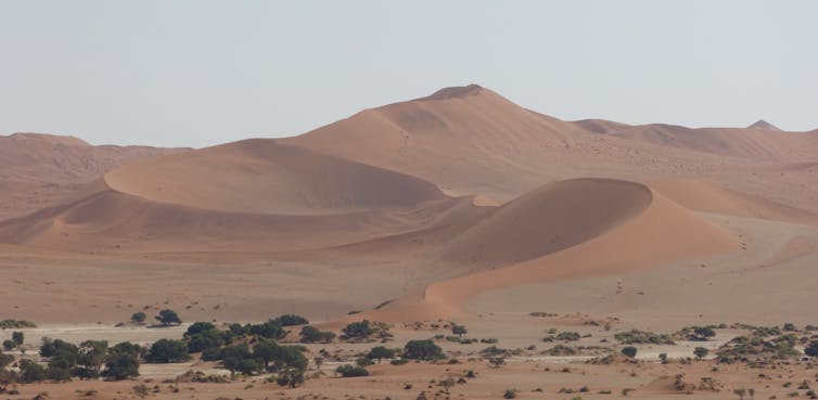 dry desert Namibia. Temporary streams in dry parts of Namibia provide rare but vital groundwater recharge for local people. 