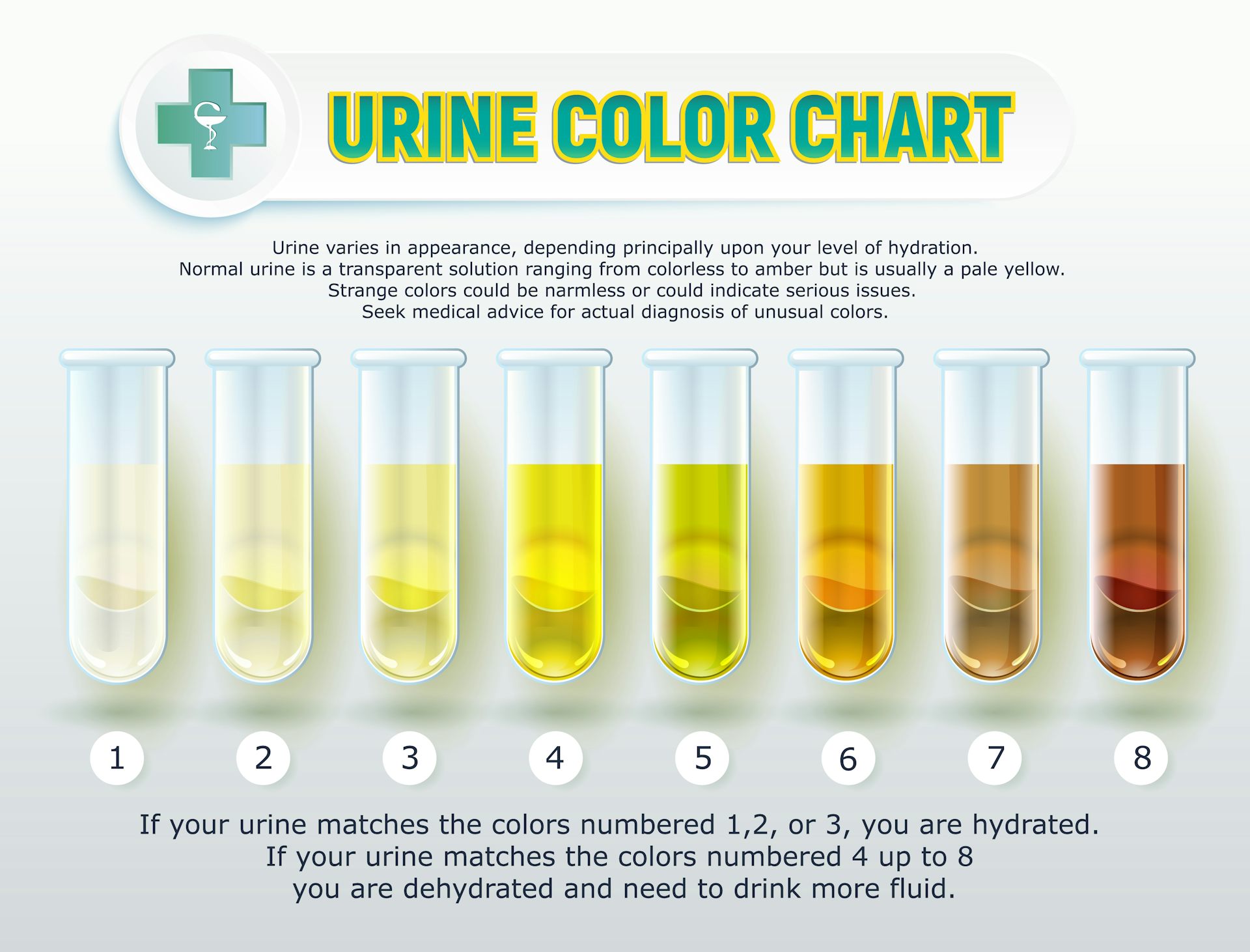 Dark Urine Color Chart