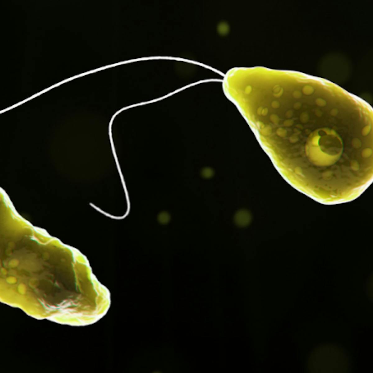 Why the 'brain-eating' amoeba found in freshwater lakes – while rare – is  so deadly