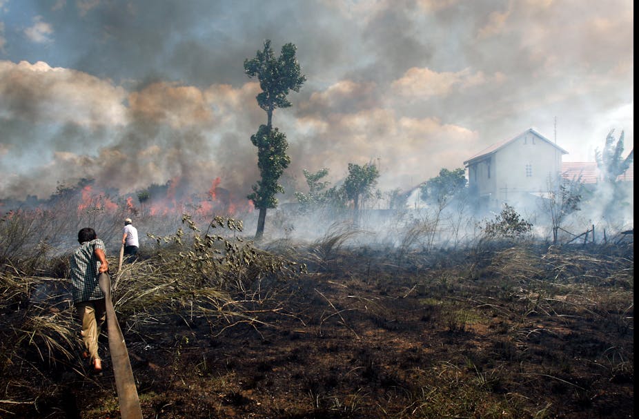 Three Things Jokowi Could Do Better To Stop Forest Fires And Haze In Indonesia