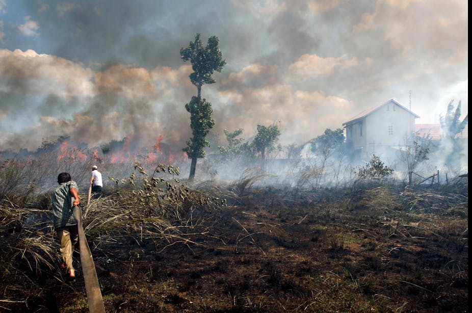 Tiga Hal Yang Bisa Dilakukan Jokowi Untuk Tangani Kebakaran Tiga Hal Yang Bisa Dilakukan Jokowi Untuk Tangani Kebakaran