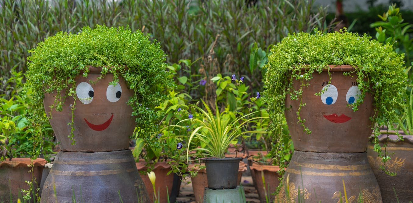 Can plants think? They could one day force us to change Can plants think? They could one day force us to change