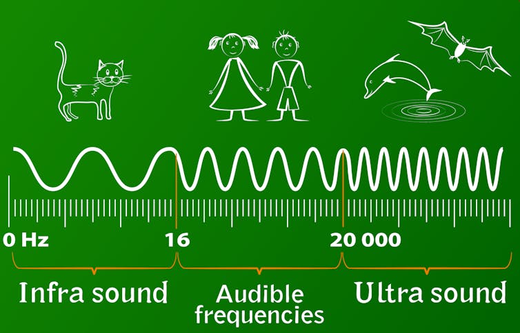 The new field of sonogenetics uses sound waves to control the behavior of brain cells