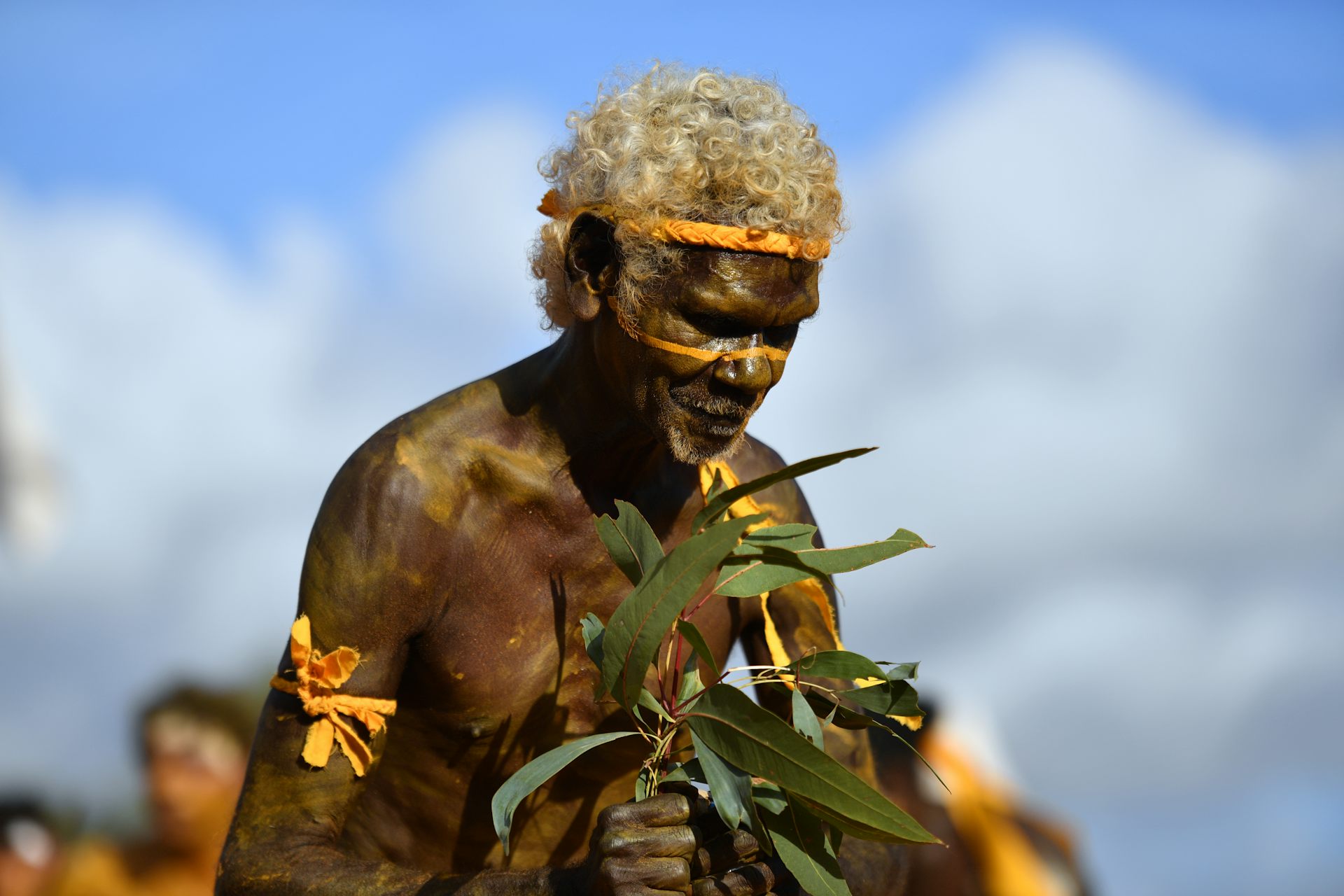 Albanese says Voice must be in the Constitution