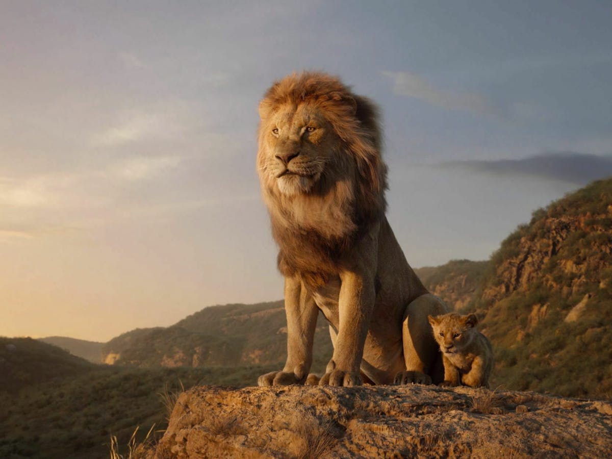 What The Lion King Teaches Us About Children S Grief What The Lion King Teaches Us About Children S Grief
