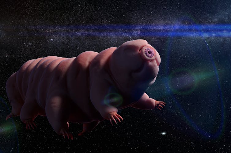 ARTIST'S RENDITION. Tardigrades in space. Dotted Yeti/Shutterstock