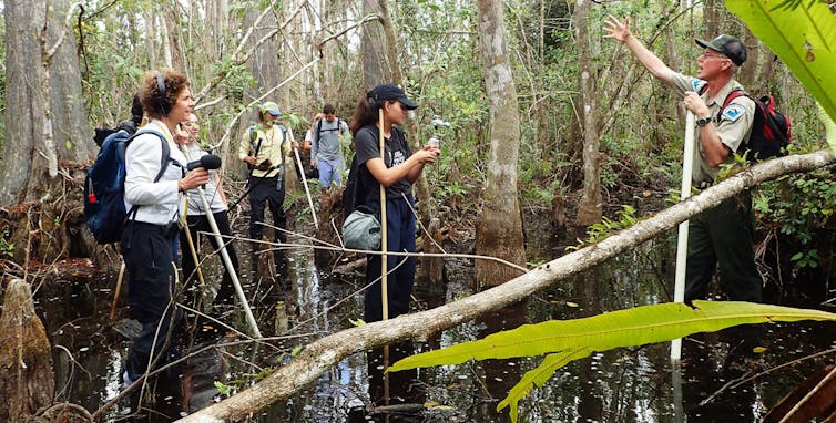 wetland park virtual tour