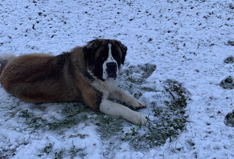 Snow at the footy? Just how unusual was last weekend’s weather?