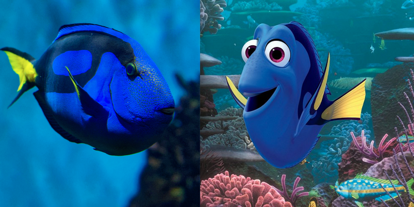 Finding Dory did not increase demand for pet fish despite viral