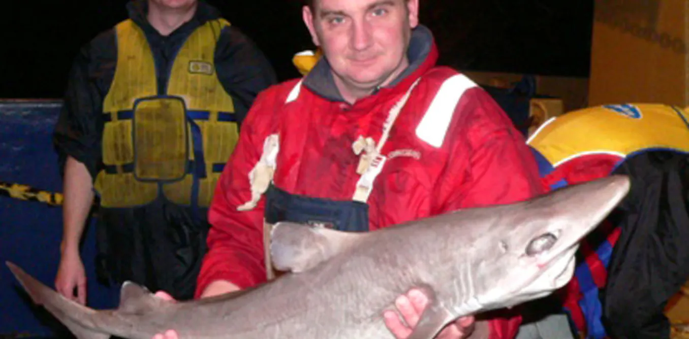 Harrison Fish Australian endangered species: Harrisson’s Dogfish