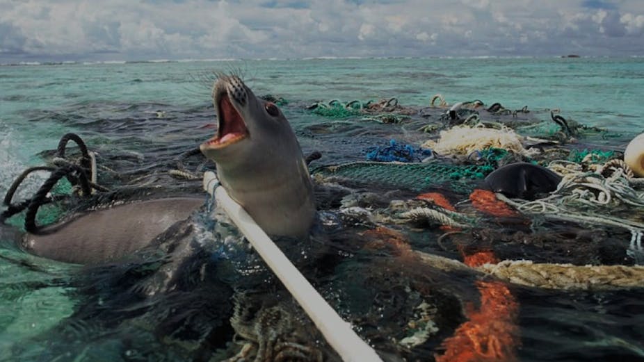 Marine debris: biodiversity impacts and potential solutions