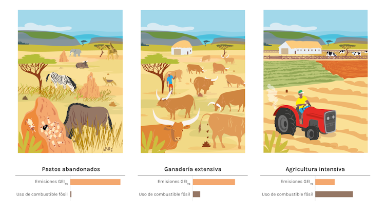 Emisiones y uso de combustible de pastos abandonados, ganadería extensiva y agricultura intensiva. @laclara.es/traducido y modificado del original en 'Climate Research'.