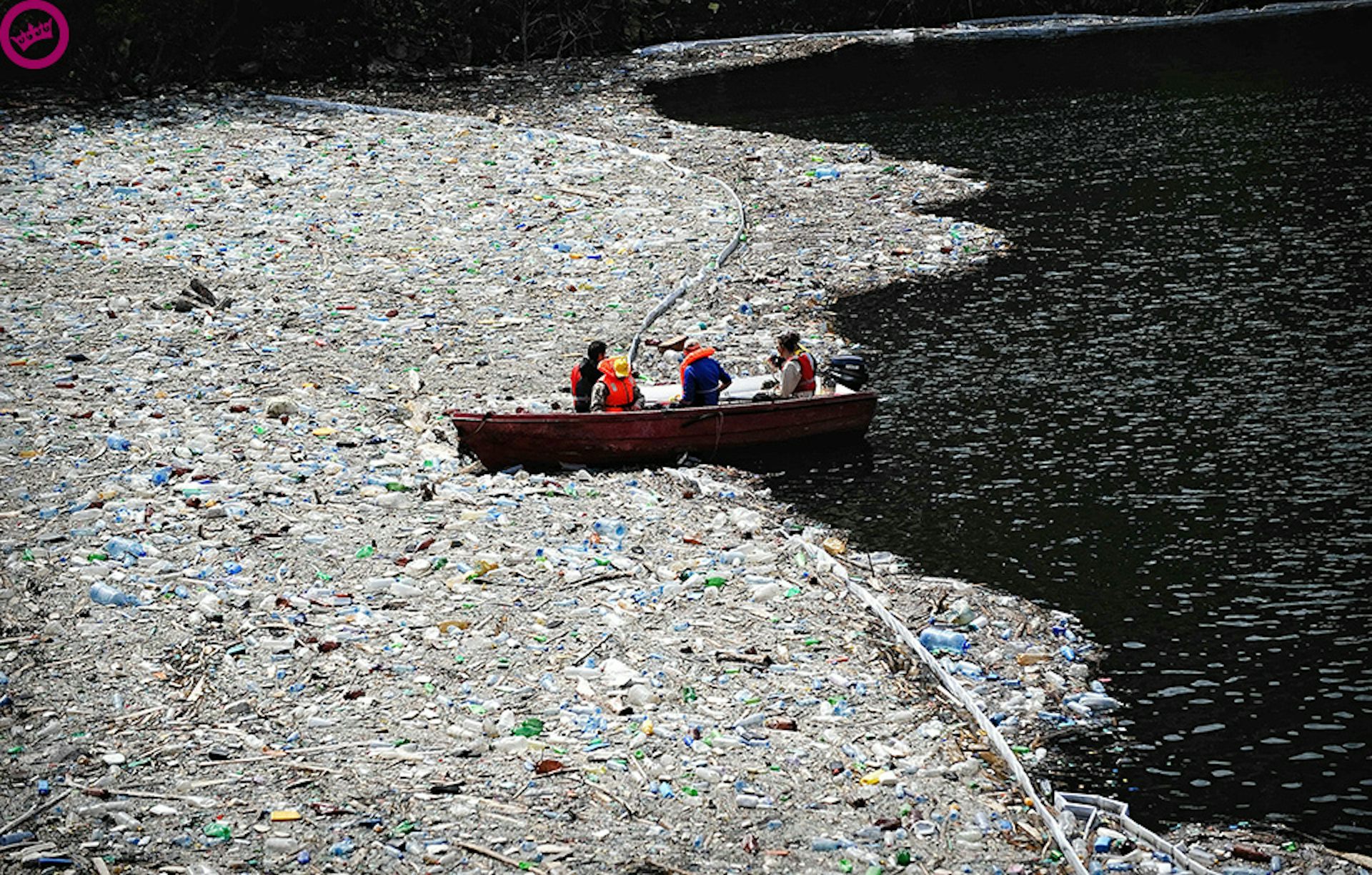 Marine Debris: Biodiversity Impacts And Potential Solutions