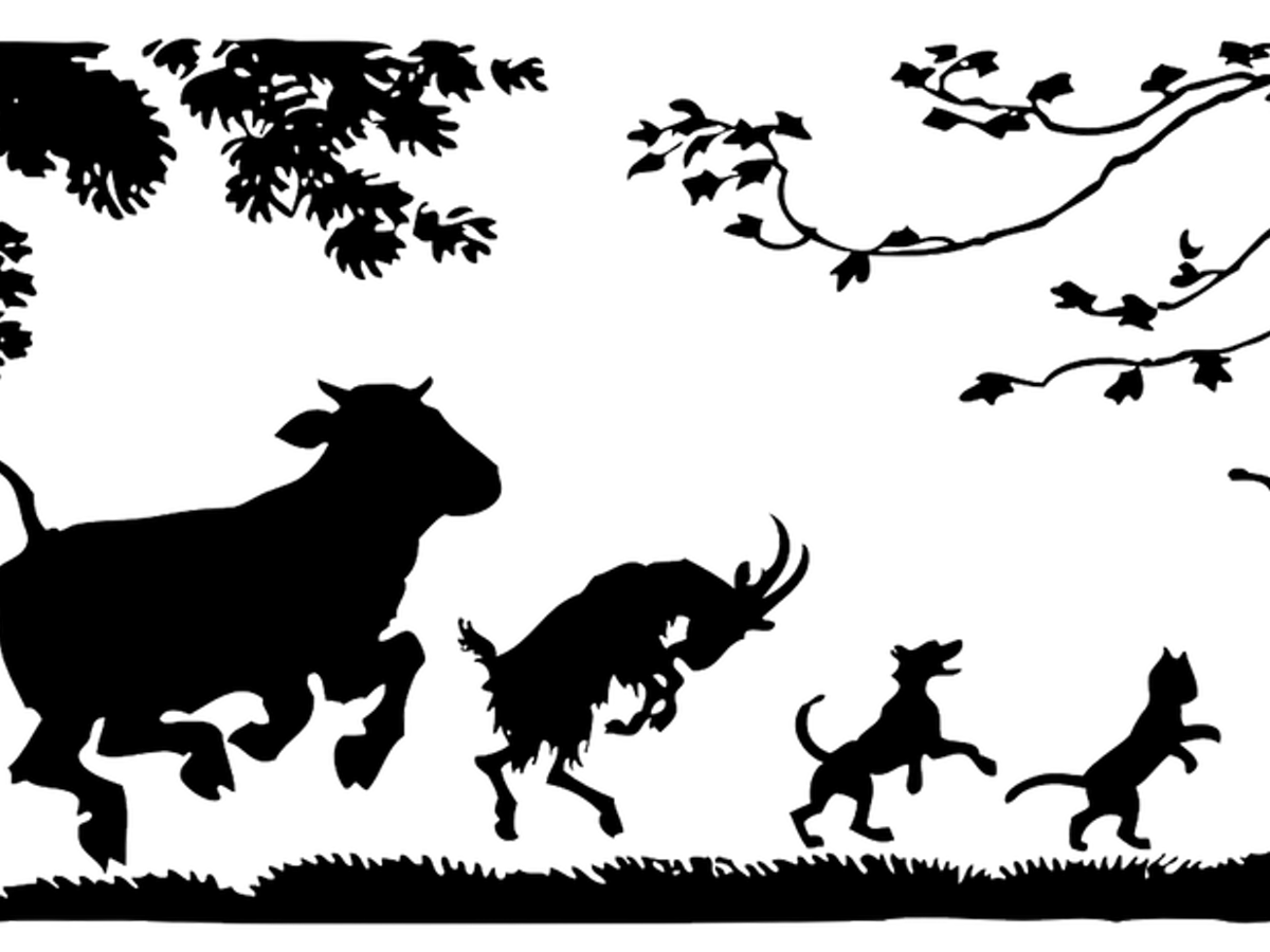 Jangan Panggil Orang Papua Monyet Ahli Jelaskan Makna Panggilan
