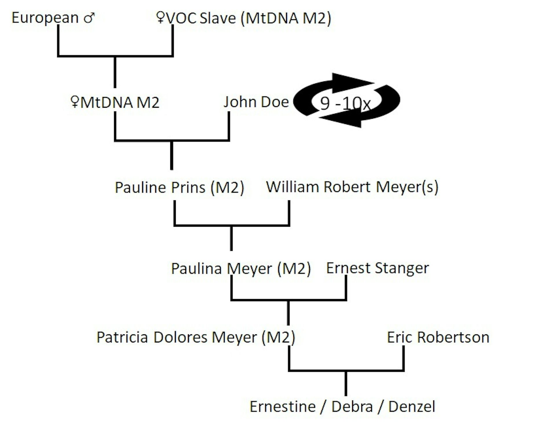 Mitochondrial DNA reveals unexpected ancestral connections