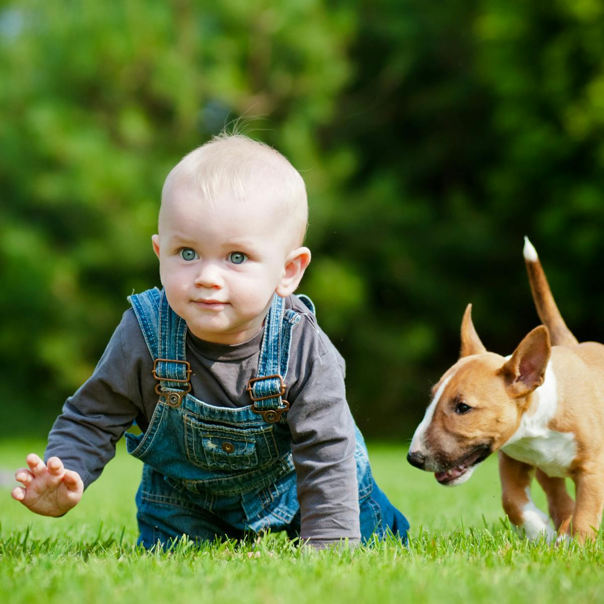Dog Training For Babies Stop Trying To Train Kids And Nurture Them Instead Dog Training For Babies Stop Trying To Train Kids And Nurture Them Instead