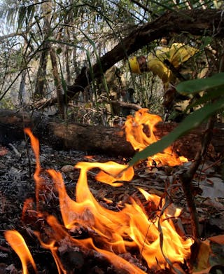 It's not just Brazil's Amazon rainforest that's ablaze – Bolivian fires are  threatening people and wildlife