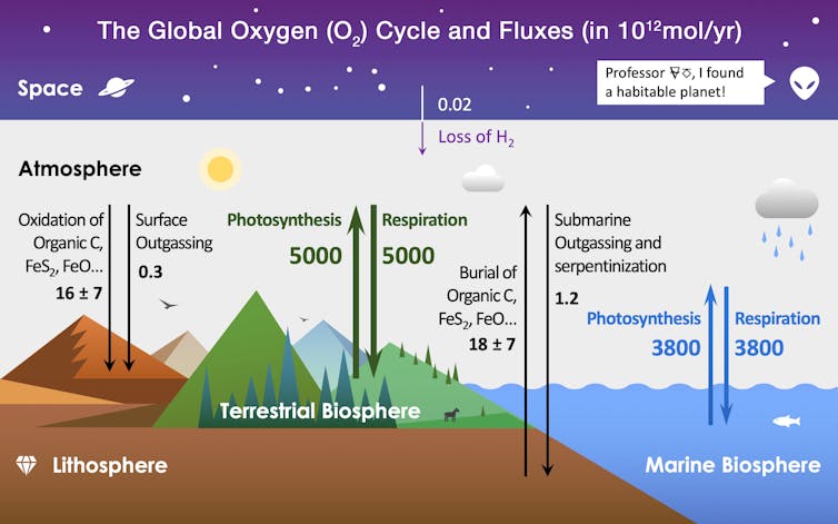 Amazon fires are destructive, but they aren't depleting Earth's oxygen supply