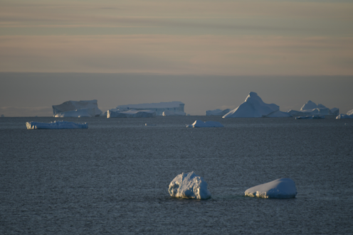 Image result for Acid oceans are shrinking plankton, fuelling faster climate change