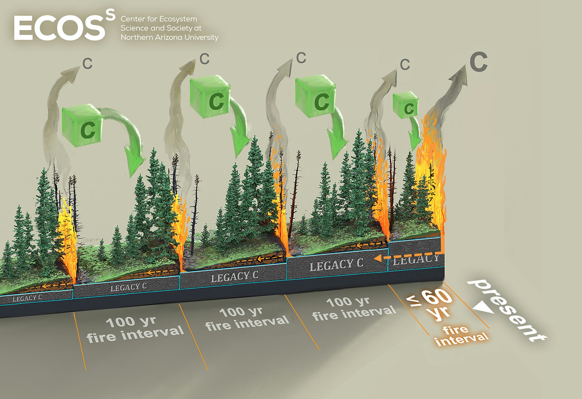 More Frequent Fires Could Dramatically Alter Boreal Forests And Emit ...