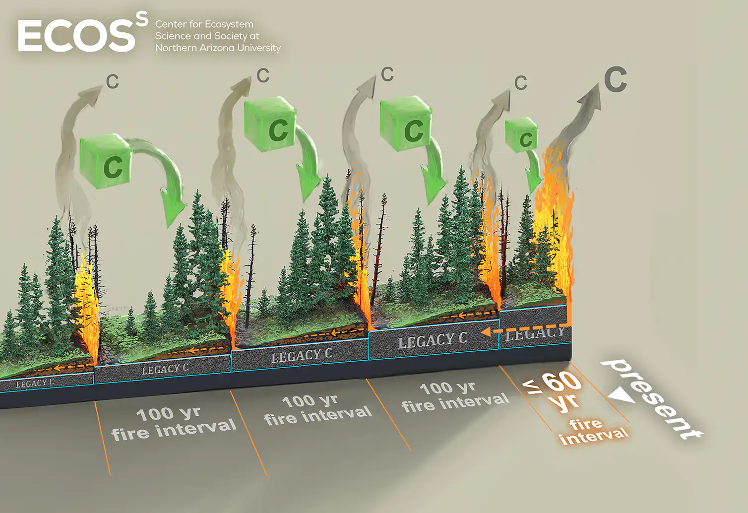 More frequent fires could dramatically alter boreal forests and emit ...