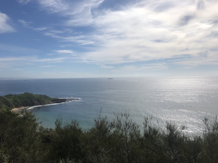 Friday Essay: a black marlin at Port Kembla and an 8,000-year-old midden – nature in the 21st century