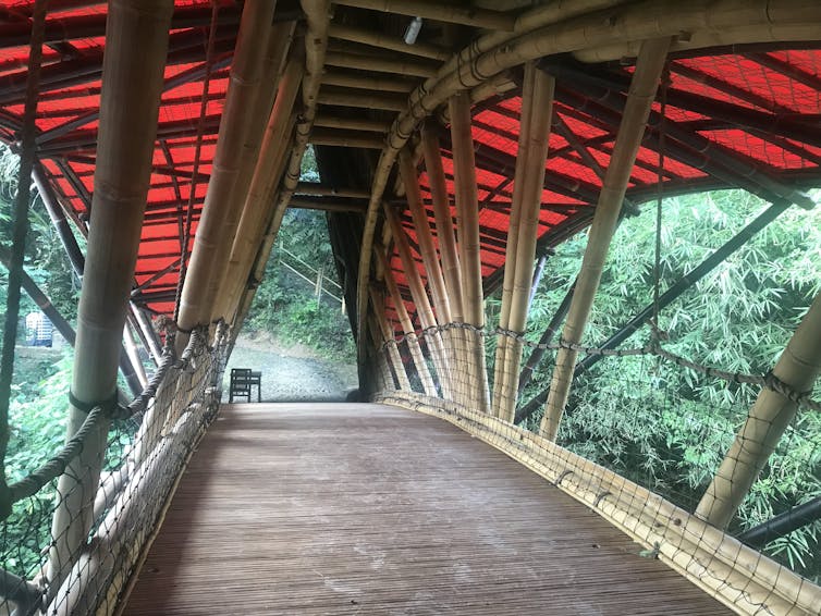 bamboo bridge