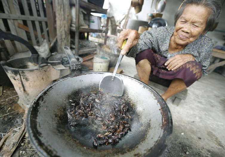 How to get people to eat bugs and drink sewage