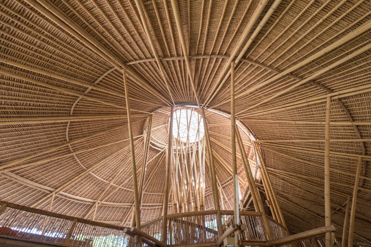 bamboo architectural forms